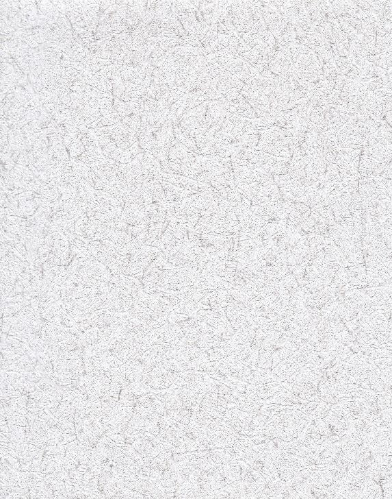Cannon Palm Snow Grey