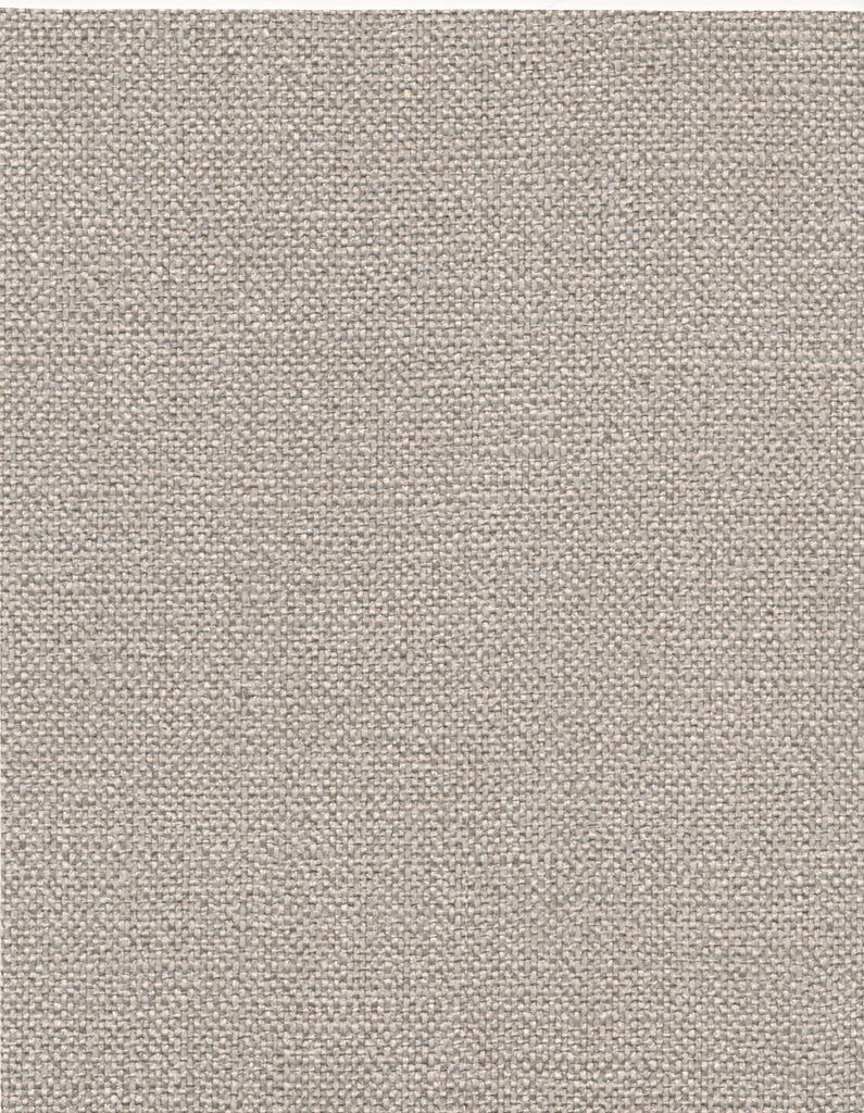Cannon Shell Brown