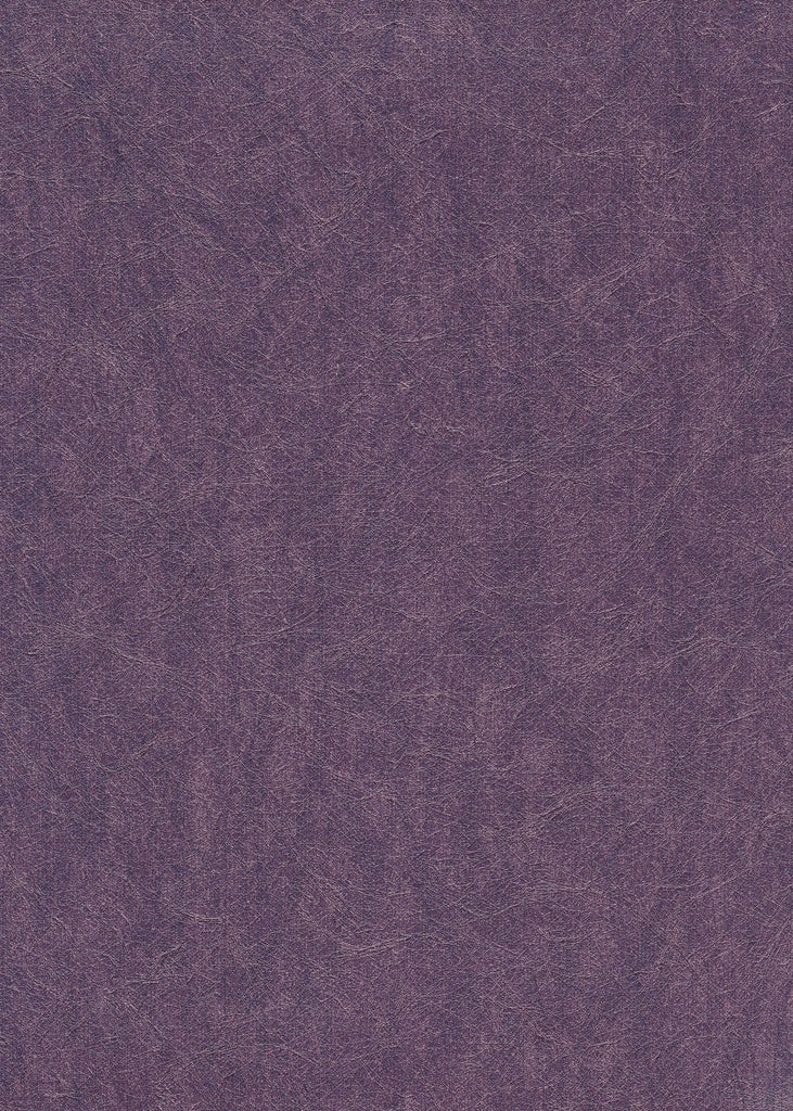 Capitola Lattice Plum