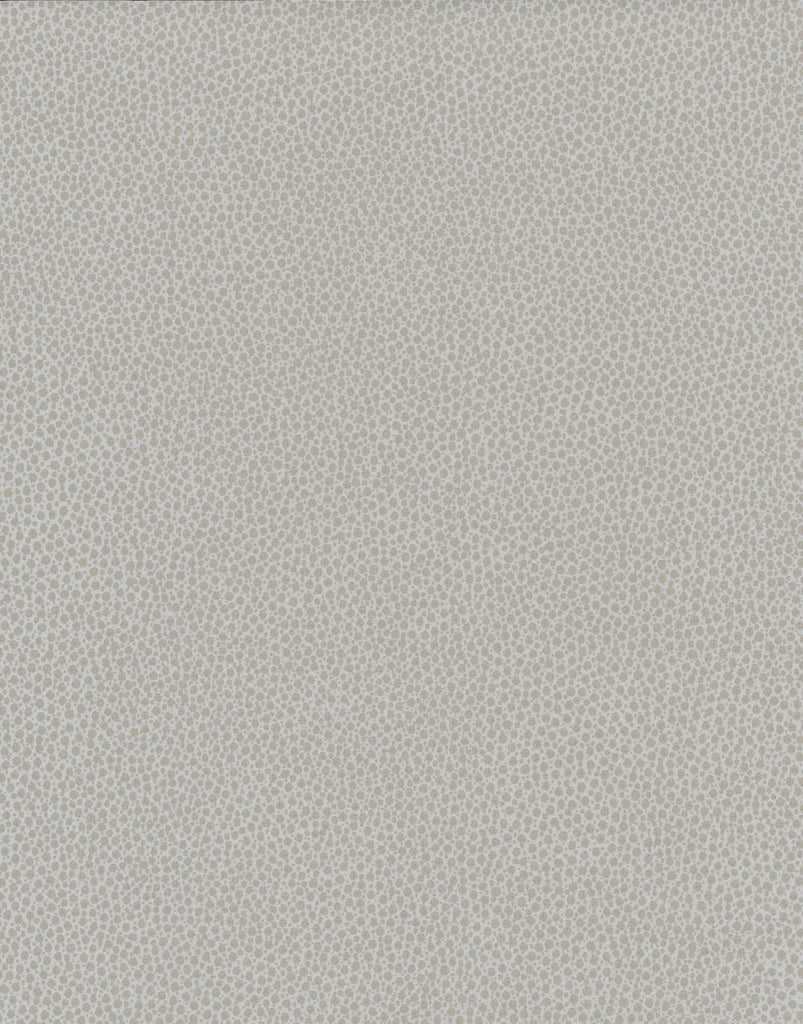 Captiva Sailcloth Taupe