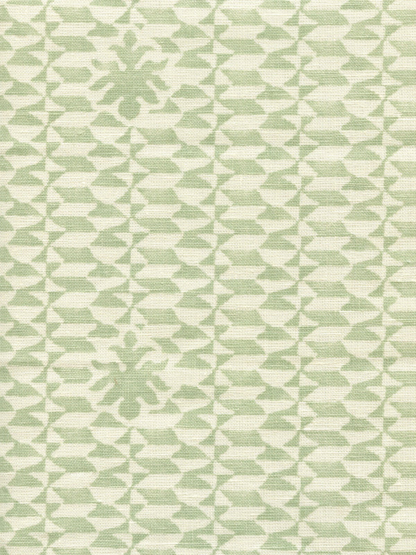 Carlo II, Soft French Green on Tint | Quadrille