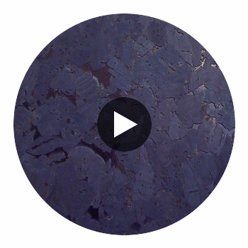 Carolina Cork Navy | Phillipe Romano Circular Swatch | DW