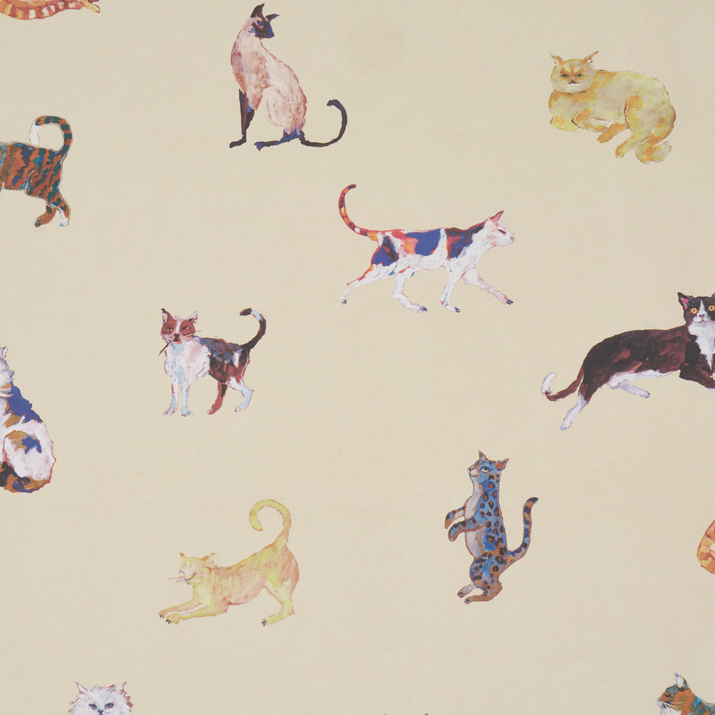 Cats CREAM | Schumacher - Image 1