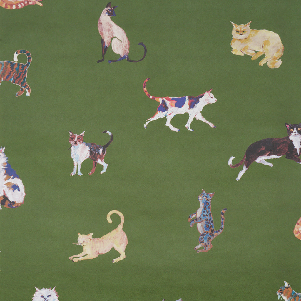Cats GREEN | Schumacher - Image 1