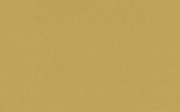 Umbria IV Fabric - Color 318 | Carnegie