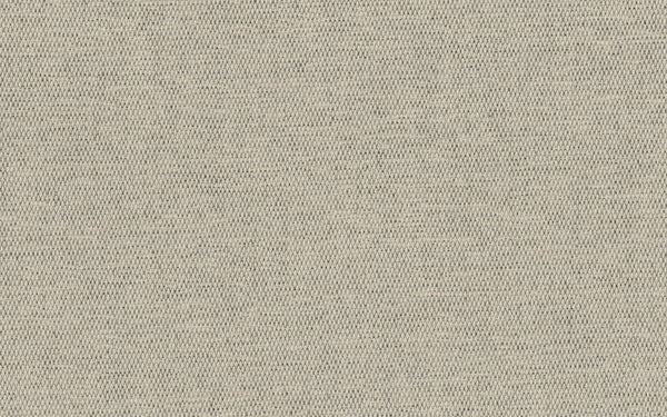 Lord Fabric - Color 104 | Carnegie