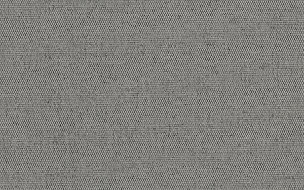 Lord Fabric - Color 109 | Carnegie