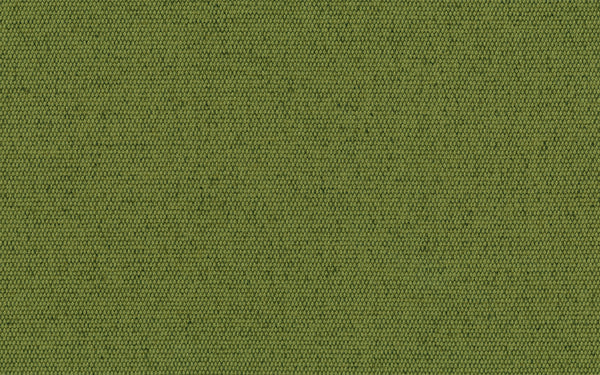 Lord Fabric - Color 165 | Carnegie