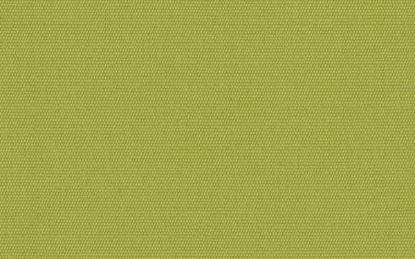 Lord Fabric - Color 166 | Carnegie