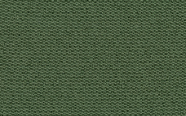 Lord Fabric - Color 186 | Carnegie