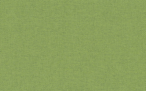 Lord Fabric - Color 187 | Carnegie