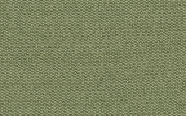 Lord Fabric - Color 189 | Carnegie