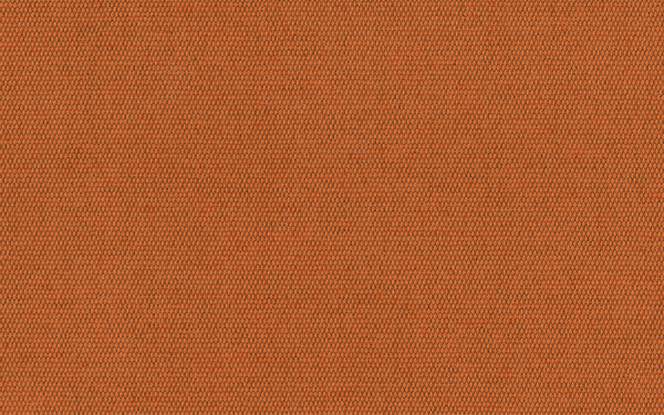 Lord Fabric - Color 200 | Carnegie