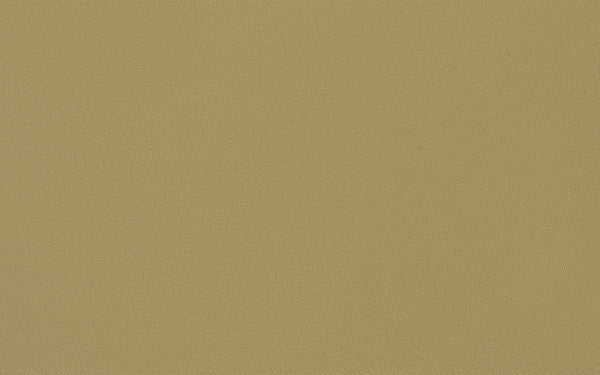 Phantom Plus Fabric - Color 366 | Carnegie