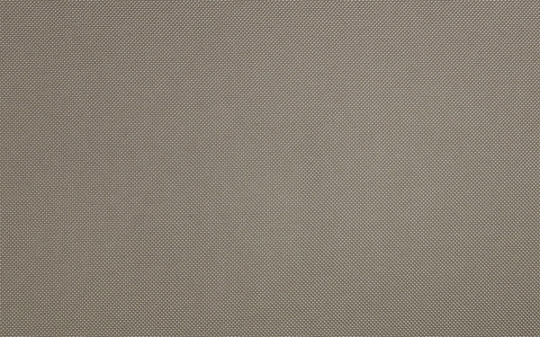Carnegie Sport 106