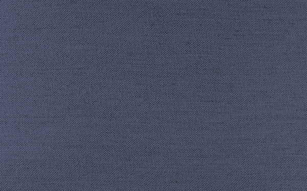 Secret Fabric - Color 401 | Carnegie