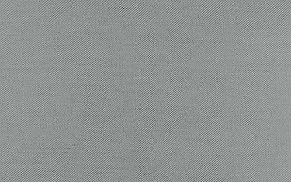 Secret Fabric - Color 403 | Carnegie