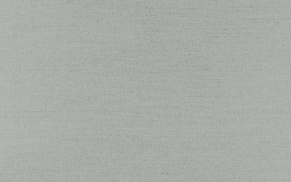 Secret Fabric - Color 405 | Carnegie