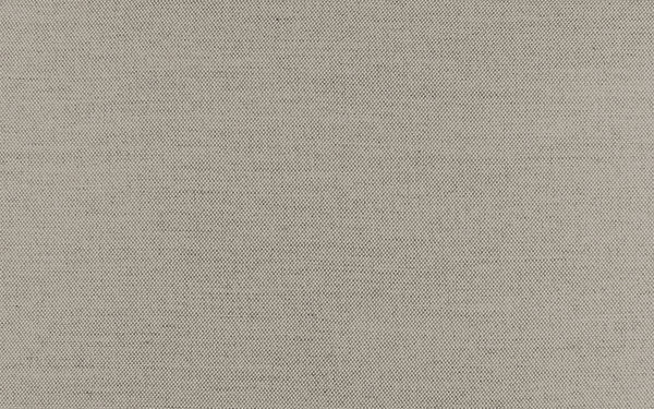 Secret Fabric - Color 407 | Carnegie