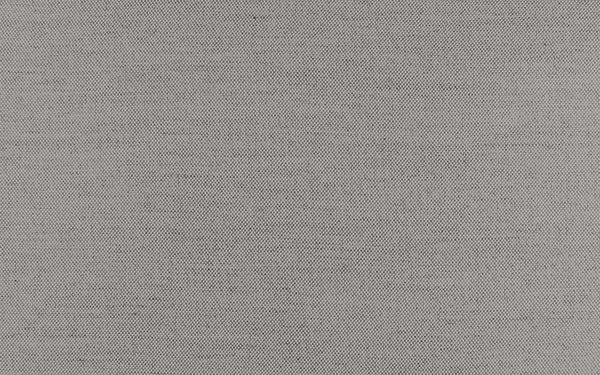 Secret Fabric - Color 408 | Carnegie