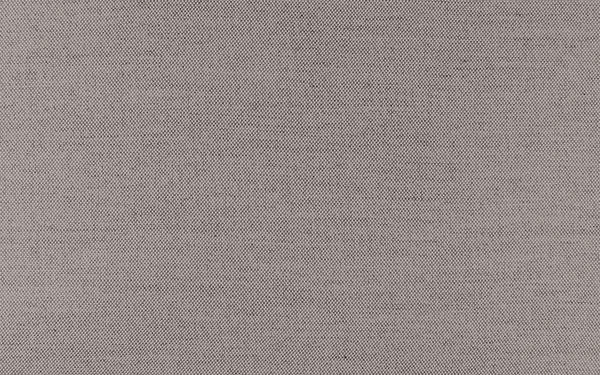 Secret Fabric - Color 409 | Carnegie