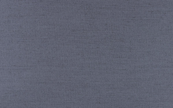 Secret Fabric - Color 410 | Carnegie