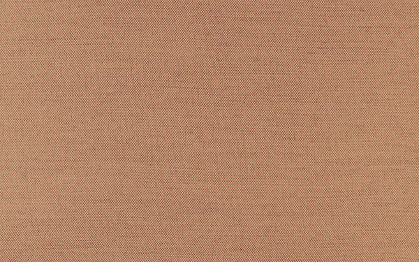 Secret Fabric - Color 413 | Carnegie