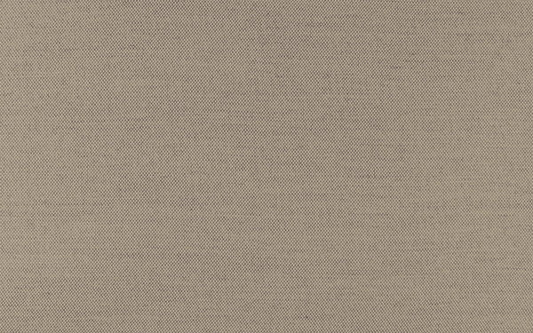 Secret Fabric - Color 414 | Carnegie