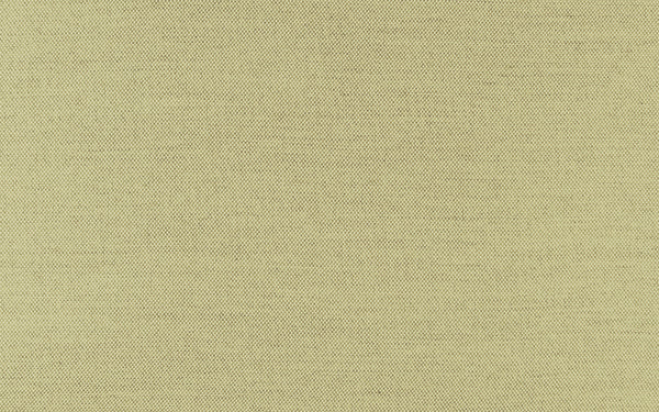 Secret Fabric - Color 415 | Carnegie