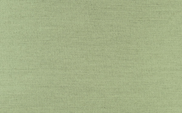Secret Fabric - Color 416 | Carnegie