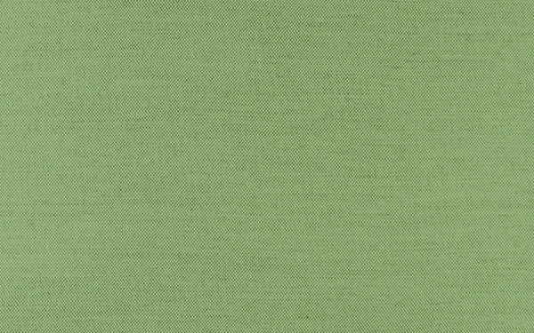 Secret Fabric - Color 417 | Carnegie