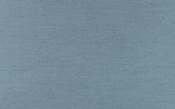 Secret Fabric - Color 418 | Carnegie