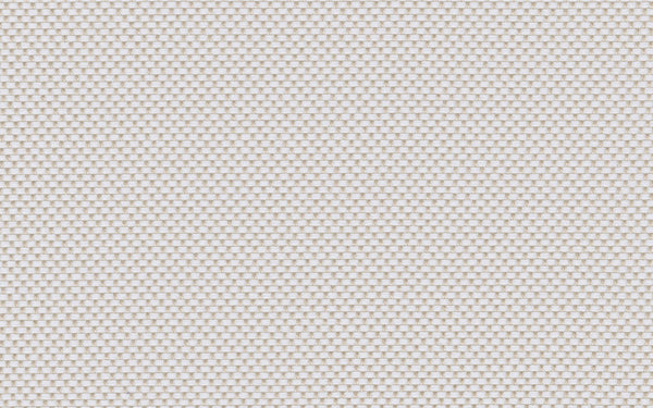 Focus Fabric - Color 101 | Carnegie