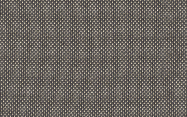 Focus Fabric - Color 119 | Carnegie