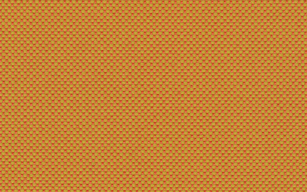 Focus Fabric - Color 126 | Carnegie