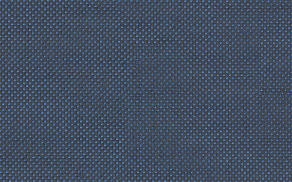 Focus Fabric - Color 131 | Carnegie