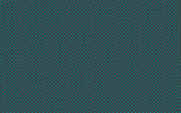 Focus Fabric - Color 134 | Carnegie