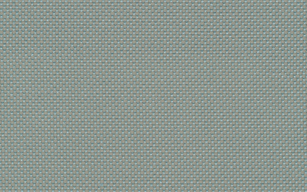 Focus Fabric - Color 136 | Carnegie