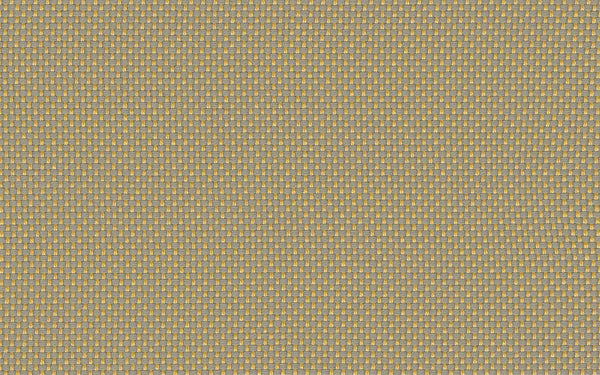 Focus Fabric - Color 144 | Carnegie