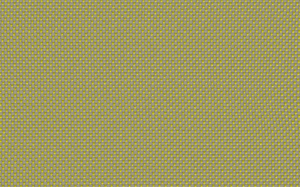 Focus Fabric - Color 146 | Carnegie