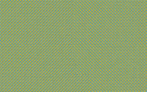 Focus Fabric - Color 148 | Carnegie