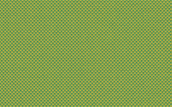 Focus Fabric - Color 149 | Carnegie