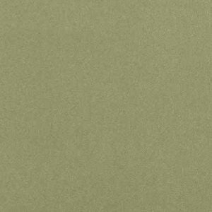 Bedford Celery | Architectural Fabrics