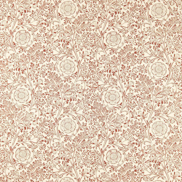 Chamomile Russet | Morris & Co.
