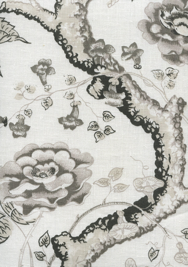 Tree Peony, Charcoal Grays on Ivory