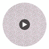 Chelsea Fabrics (af57840) – Lavender | Thibaut Circular Swatch | Thibaut