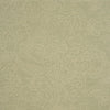 CHIANG MAI DRAGON SILHOUETTE RAFFIA SAGE | Schumacher - Image 12