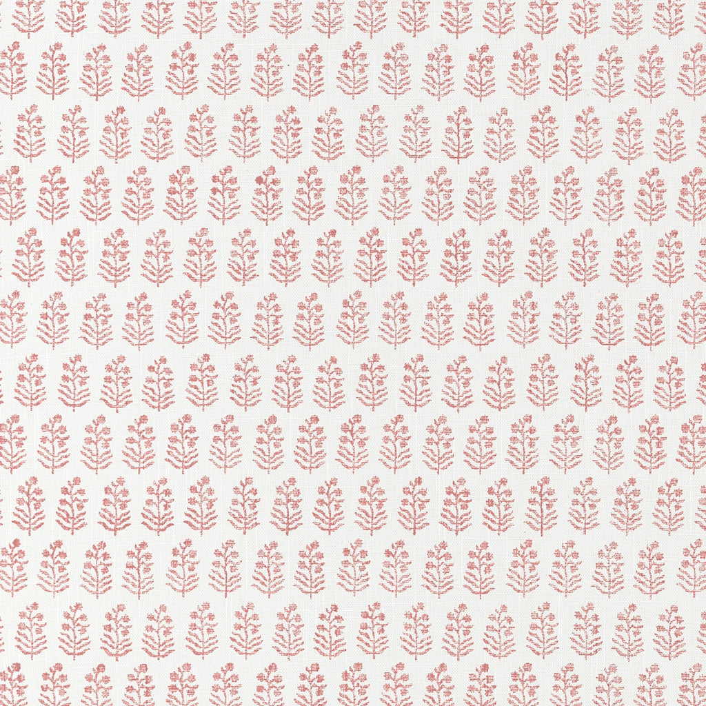 CHLOE - Blush | Thibaut