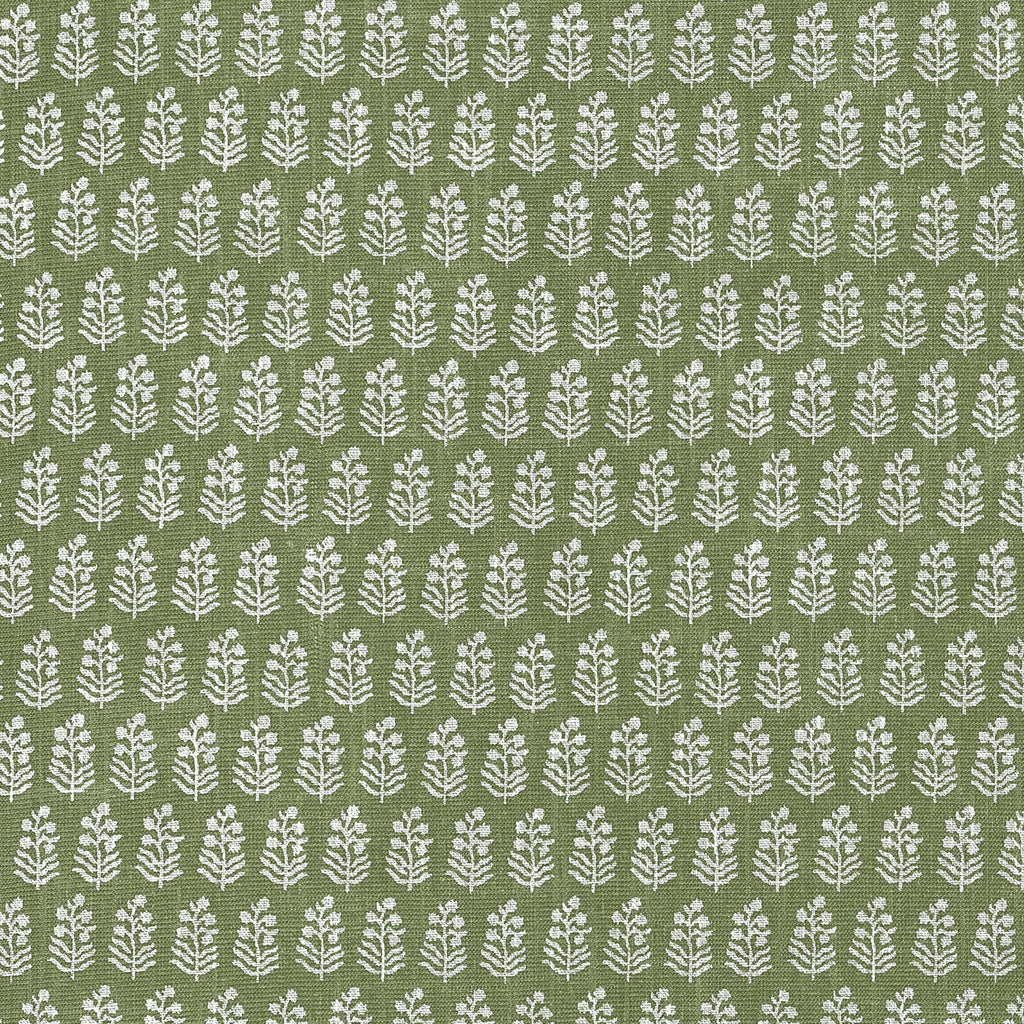 CHLOE - Green | Thibaut