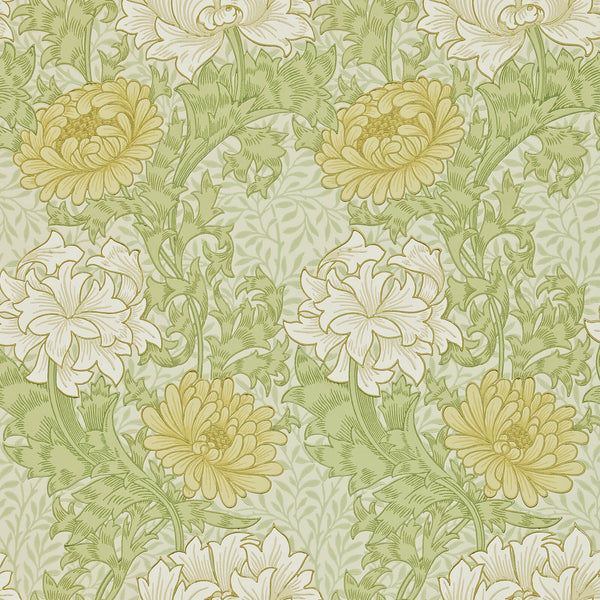 Chrysanthemum Pale Olive | Morris & Co.